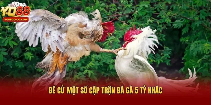 Đề cử một số cặp trận đá gà 5 tỷ khác