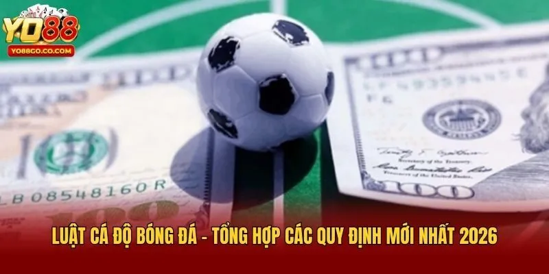 Luật Cá Độ Bóng Đá - Tổng Hợp Các Quy Định Mới Nhất 2026